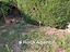 Immagine 12