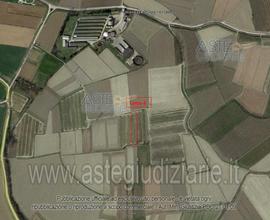 Terreno Agricolo Frassineto Po [A4329401]