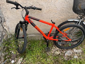 Bicicletta ragazzo
