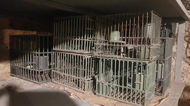 gabbie uccelli varie misure 