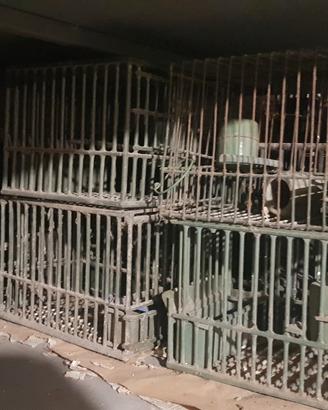 gabbie uccelli varie misure 