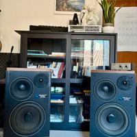 Electrovoice Interface Beta Mark II