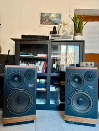 Electrovoice Interface Beta Mark II