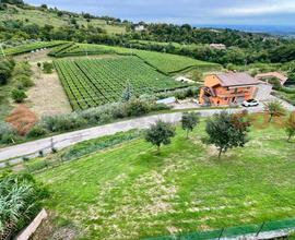 Appartamento Negrar di Valpolicella