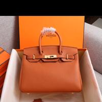 Hermès Birkin 25 Gold – Icona di Lusso e Raffinate