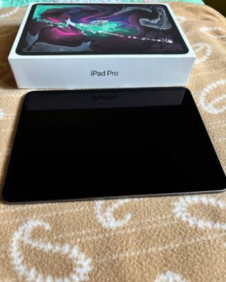 iPad Pro (11”)