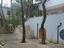 Immagine 2
