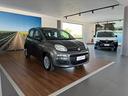 fiat-panda-1-0-firefly-s-s-hybrid-easy