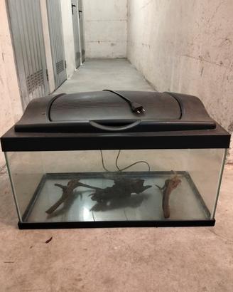 Acquario 60LT 