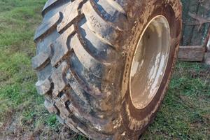 Ruote dumper (600/55R26.5)