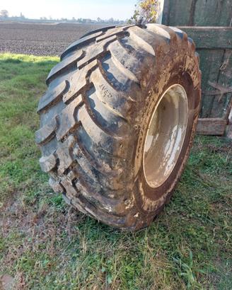 Ruote dumper (600/55R26.5)