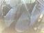 Immagine 11
