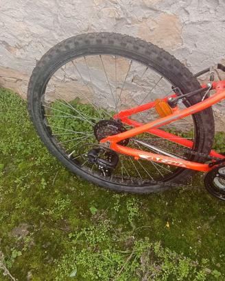 Bici bambino atala