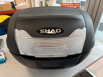 BAULETTO SHAD SH40