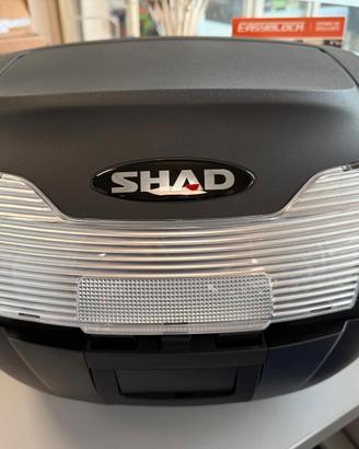 BAULETTO SHAD SH40
