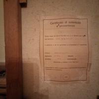 G.nni Vitti  - Olio su Tela - Certific. Originale