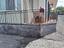 Immagine 4