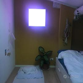 Pannello led Qualiko  60x60