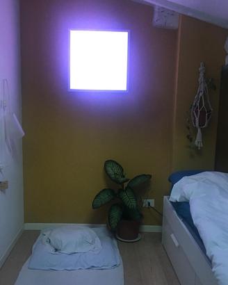 Pannello led Qualiko  60x60