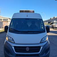 Fiat ducato frigoriferio