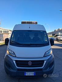 Fiat ducato frigoriferio