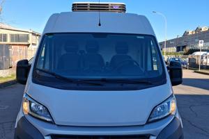 Fiat ducato frigoriferio