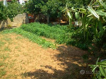 Terreno Edificabile a Ruffano (LE)