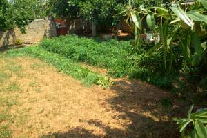 Terreno Edificabile a Ruffano (LE)