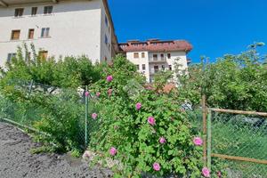 MONOLOCALE A RIVISONDOLI
