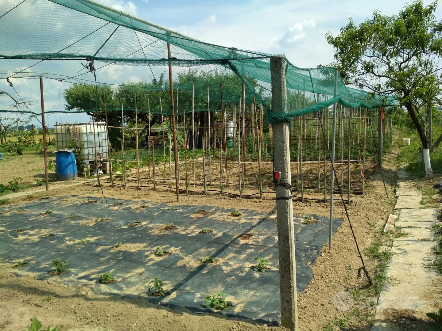 Terreno None 2700 m² - Altro