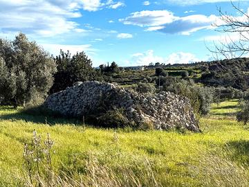 Terreno agricolo con fabbricato rurale