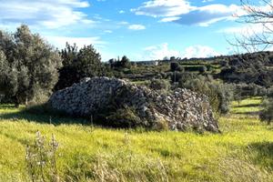 Terreno agricolo con fabbricato rurale