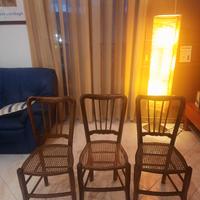 Sedie Vienna  (finocchino) antiche