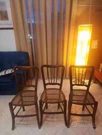 Sedie Vienna  (finocchino) antiche