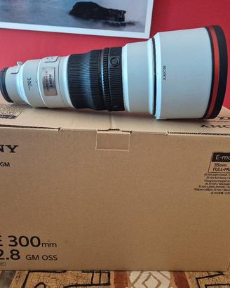 Sony FE 300mm f/2.8 GM OSS