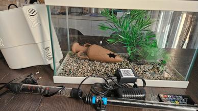 Mtb acquario startup