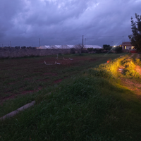 Terreno agricolo 4.000 mq recintato con pozzo