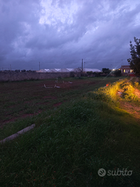 Terreno agricolo 4.000 mq recintato con pozzo