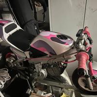 Polini 50cc 2019