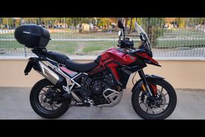 Tiger 900 GT Pro