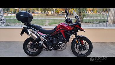 Tiger 900 GT Pro