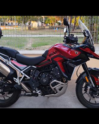 Tiger 900 GT Pro