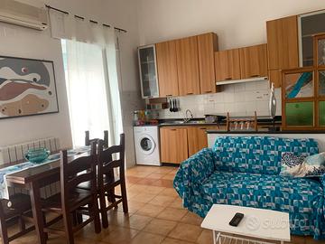 Grazioso appartamento