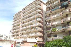 BOX A PALERMO