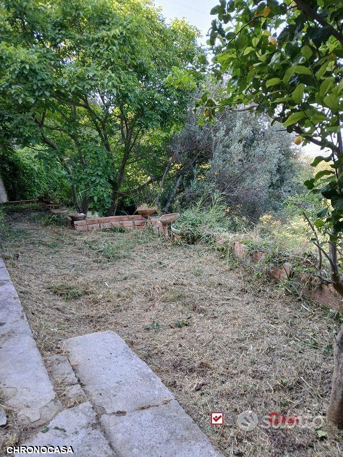 Rometta, terreno terrazzato di circa 2300 mq - Altro