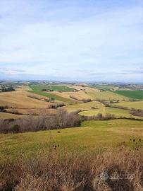 Terreno di 1000 m² a Polverigi