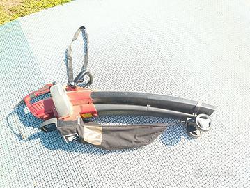 Soffiatore e aspiratore Einhell GC-EL 3000 E con s
