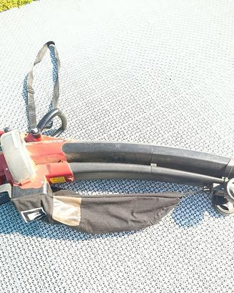 Soffiatore e aspiratore Einhell GC-EL 3000 E con s