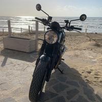 Triumph Speed Twin 900 - 2023