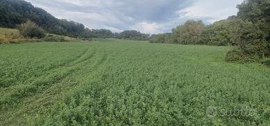 Terreno agricolo